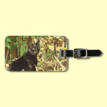 Cat in Morning Personalized Luggage Tag luggage tags