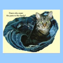 Cat in Pants postcards