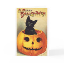Cat In Pumpkin cards by vintagehalloween Cat In Pumpkin cards