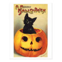 Cat In Pumpkin Post Cards