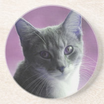 Cat In Purples coasters