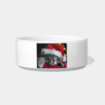 Cat in Santa Hat Kitten Pet Bowl Cat Water Bowl