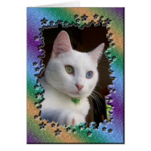 Cat in star frame cards