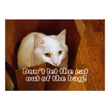 Cat in the Bag Surprise Birthday Party Invitation