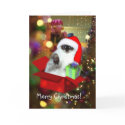 Cat in the box - Christmas Gift cards