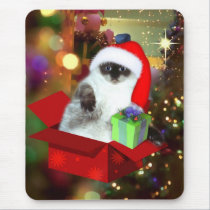 Cat in the box - Christmas Gift mousepads
