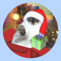 Cat in the box - Christmas Gift stickers