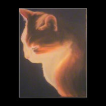 Cat in the dark postcards