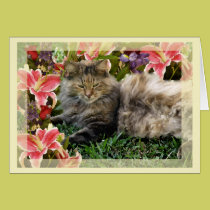 "Cat in the garden" Blank Card cards