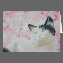 Cat in the Garden cards