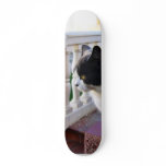 Cat In The Garden Custom Skate Board