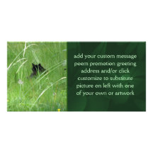 Cat In The Grass Personalized Photo Card