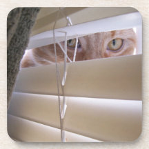 Cat in the Window Coaster