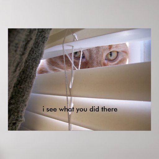 cat_in_the_window_i_see_what_you_did_there_print-r3e392df0adc749508f1b4021c07897d0_wzk_8byvr_512.jpg