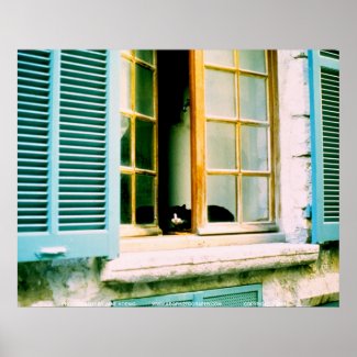 Cat in the Window/JSKFR003 print