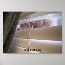 Cat in the Window Print