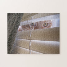 Cat in the Window Puzzle