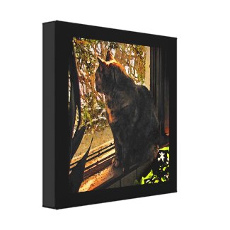 Cat in the Window Stretched Canvas Print