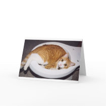 Cat in toilet card by mgatling Cat in toilet card