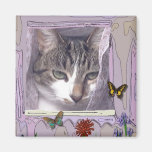 Cat in Window Fridge Magnets