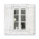 Cat in Window Magnet
