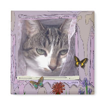Cat in Window magnets