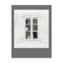 Cat in Window Postcard