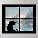 cat in window posters