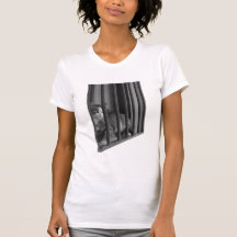 Cat in Window Tees