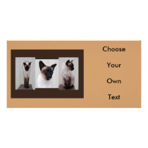 Cat 'Inoe' tryptich Personalized Photo Card