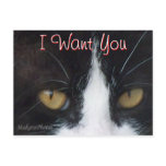 Cat  Invitation Postcard -customize any occasion