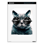 cat iPad 3 decals