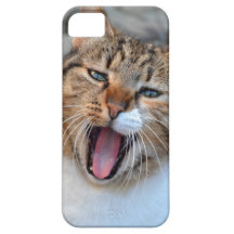 Cat iPhone 5 Cases