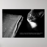 Cat [kat] print