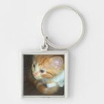 Cat Key chain