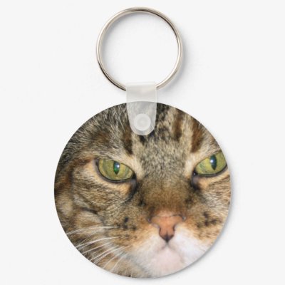 Cat Keychain by DonnaGrayson