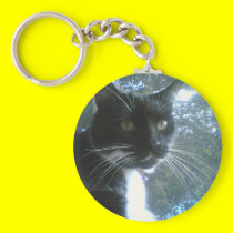 cat keychain keychains