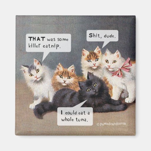 Cat "Killer Catnip" Magnets