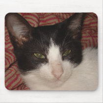 cat kita mousepad