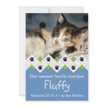Cat/Kitten Adoption Announcement