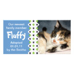 Cat/Kitten Adoption Announcement Photo Card Template