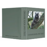 Cat 'Kyra' in a tree binders