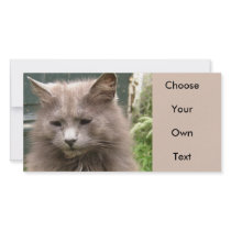 Cat 'Kyra' portrait Customized Photo Card