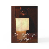 Cat & Lamp Fun Valentines or Romantic Lover's Card