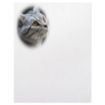 Cat Letterhead