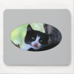 Cat Licking Lips Mousepad