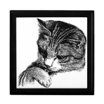 Cat Licking Paw  Drawing Jewelry Box