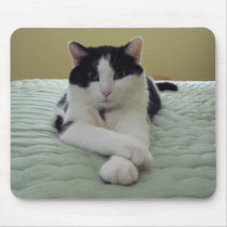 Cat - Life is Good mousepads