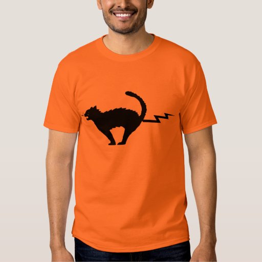 cat with lightning shirt