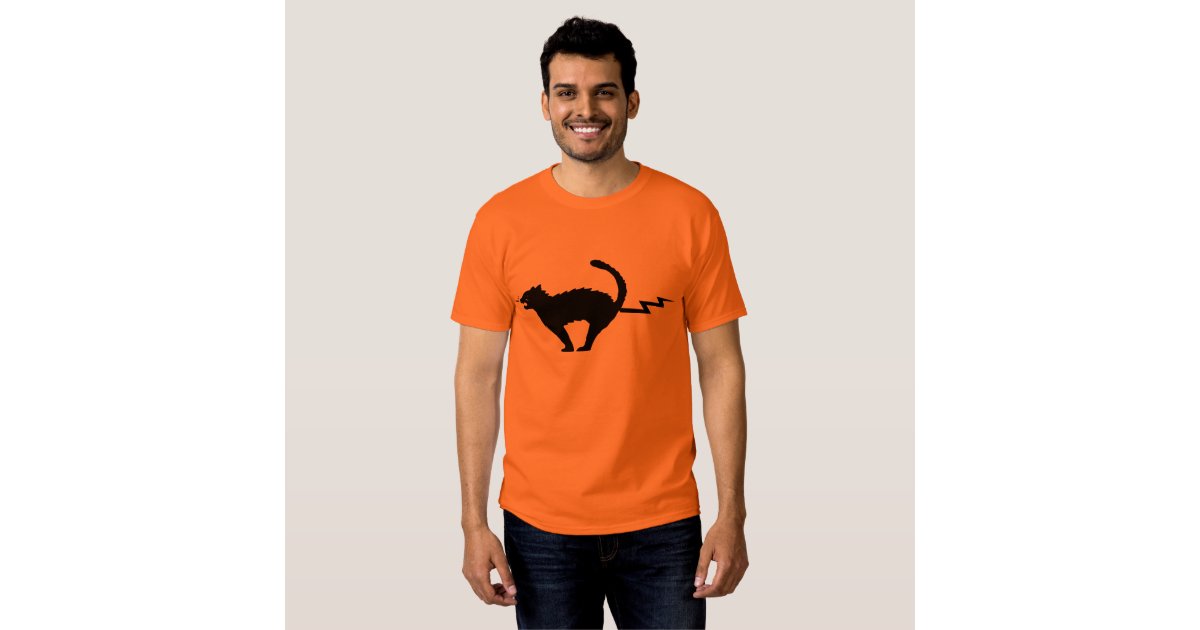 cat with lightning shirt